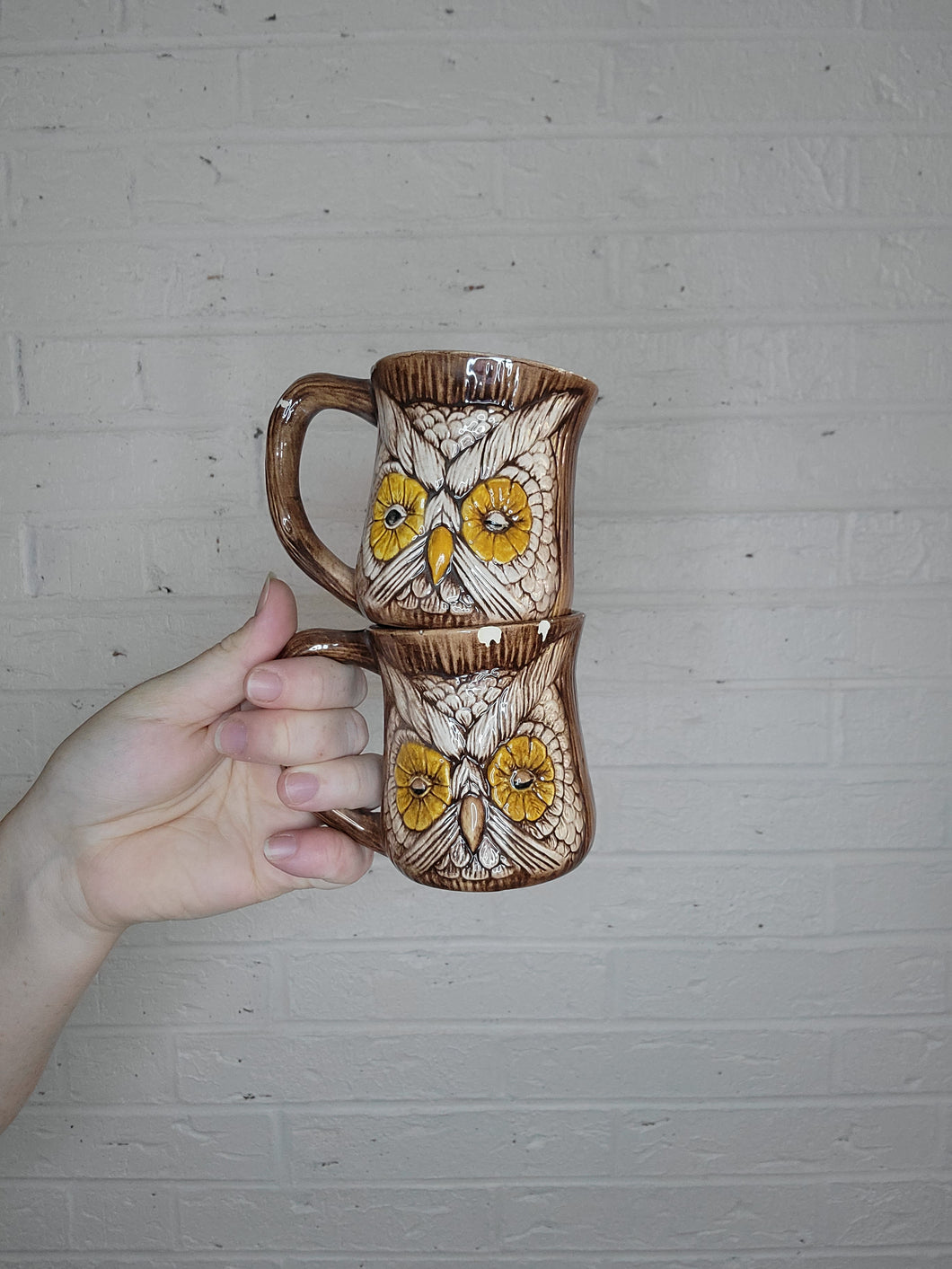 set of 2 owl mugs